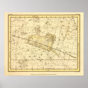 Affiche Bélier, Musca Borealis