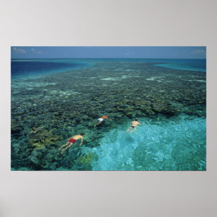 Affiche Belize, récif de la barrière, récif Lighthouse, bl