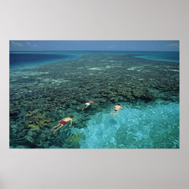 Affiche Belize, récif de la barrière, récif Lighthouse, bl (Devant)