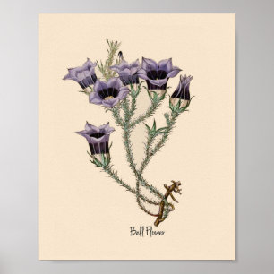 Affiche Bell Flower Botanical