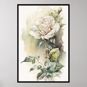 Affiche Belle aquarelle rose blanche