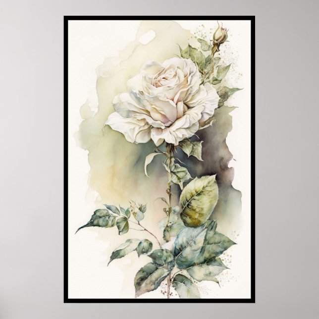 Affiche Belle aquarelle rose blanche (Devant)