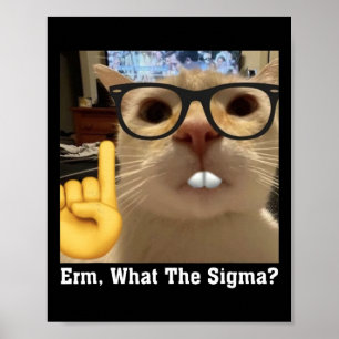 Affiche Belle Chat Mème Clic Art Cute Kitten Erm