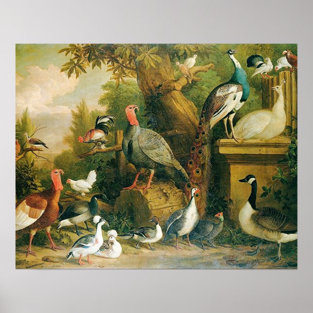 Affiche Belle collection d'oiseaux avec Vintage sensation (Devant)