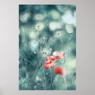 Affiche Belle Elégante Abstraite Dreamy Poppies Fleurs