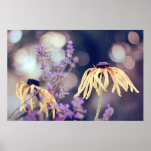 Affiche Belle Elégante Dreamy Coneflowers Lavender