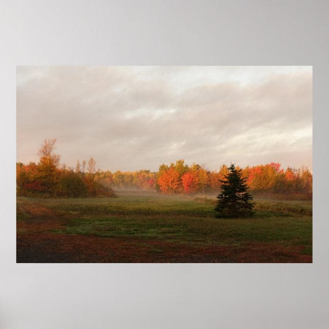 Affiche Belle ferme Misty Morning Serenity (Devant)