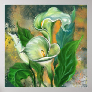 Affiche Belle Fleur de Calla Lily - Dessin d'art