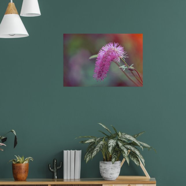 Affiche Belle fleur de prairie (Salon 1)