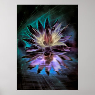 Affiche Belle Fleur Lotus
