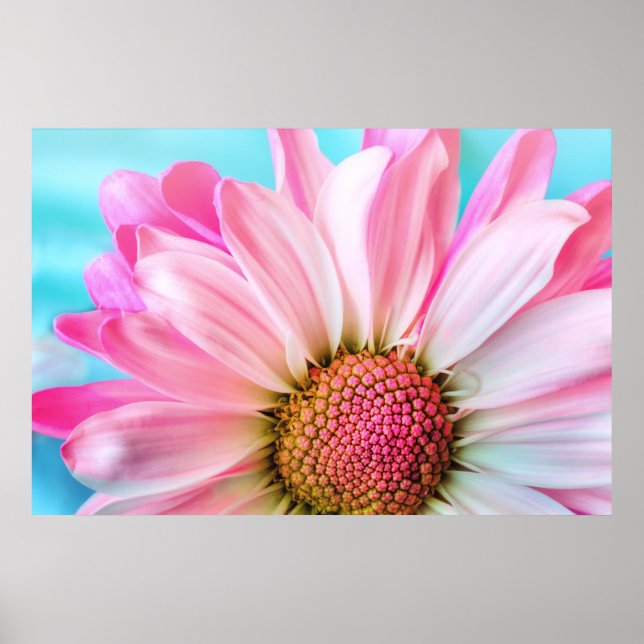 Affiche Belle Fleur rose Gros plan Photo (Devant)