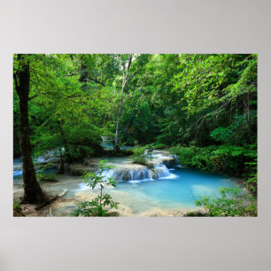 Affiche Belle Forêt