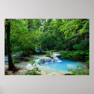 Affiche Belle Forêt