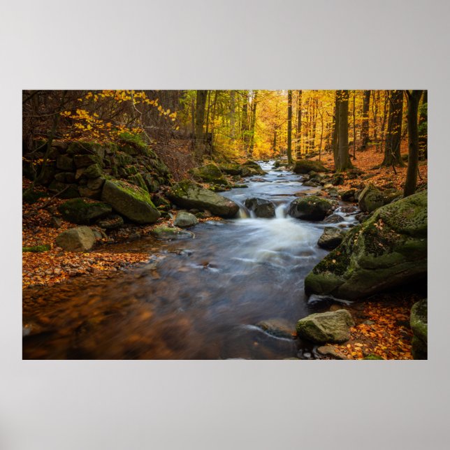 Affiche Belle forêt d'automne (Devant)