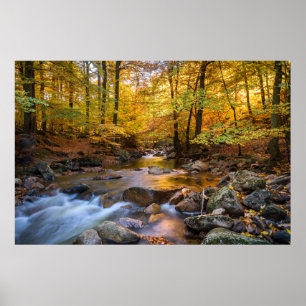 Affiche Belle forêt d'automne