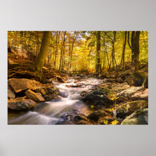Affiche Belle forêt d'automne