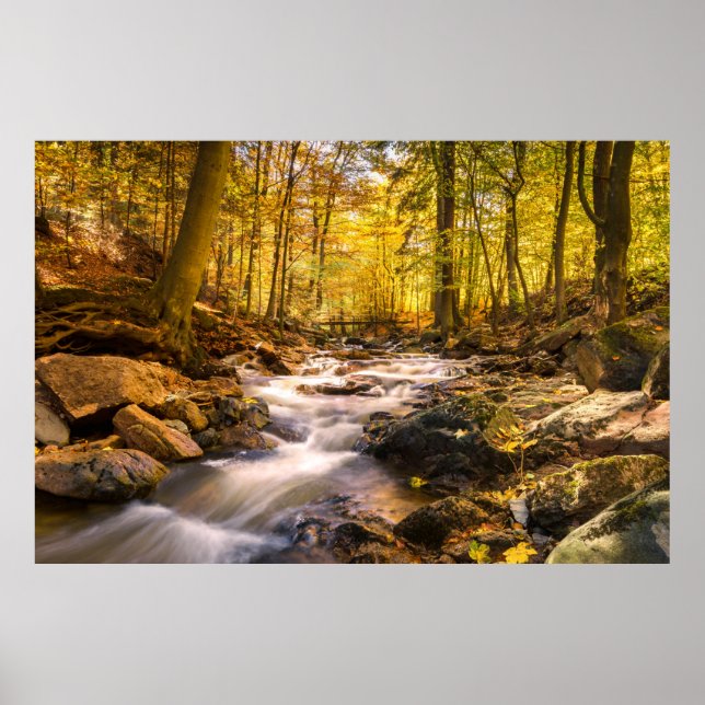 Affiche Belle forêt d'automne (Devant)