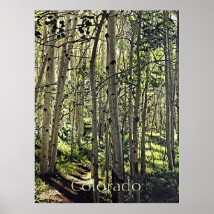 Affiche Belle forêt de peupliers trembles à Crested Butte