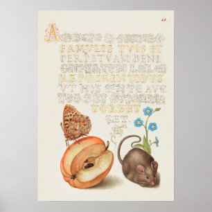 Affiche Belle illustration botanique Vintage