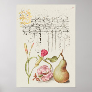 Affiche Belle illustration botanique Vintage