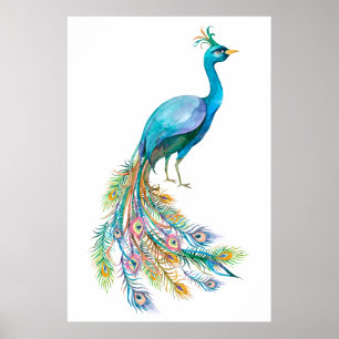 Affiche Belle illustration de paon bleu à l'aquarelle