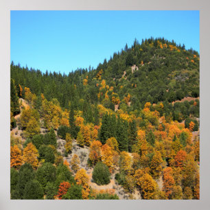 Affiche Belle journée d'automne en montagne......