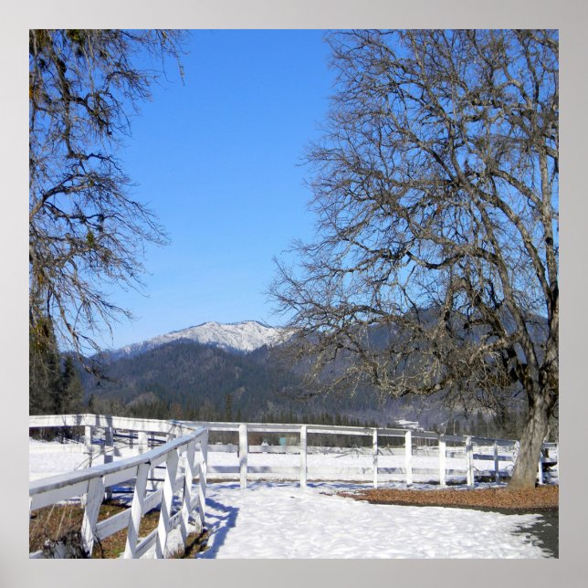 Affiche Belle journée en hiver..... (Devant)