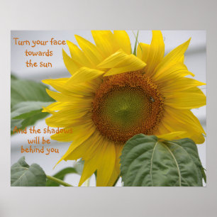Affiche Belle Motivation tournesol