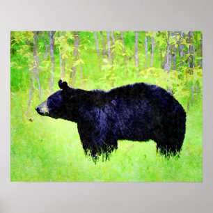 Affiche Belle Ours Noir Faune Aquarelle Peintures