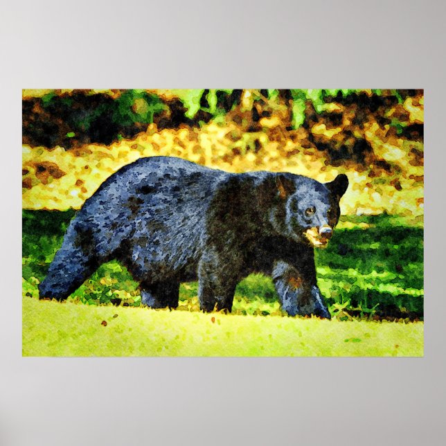Affiche Belle Ours Noir Faune Aquarelle Peintures (Devant)
