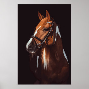 Affiche Belle peinture Brown Cheval Portrait Photo