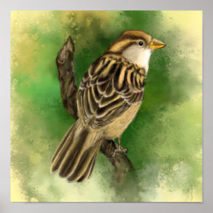 Affiche Belle peinture d'affiche Little Sparrow