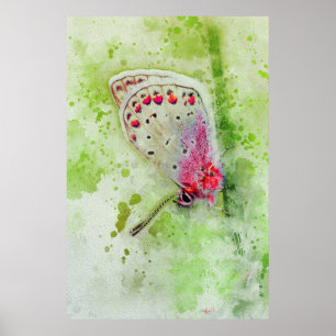 Affiche belle peinture de papillon blanc sur une tige