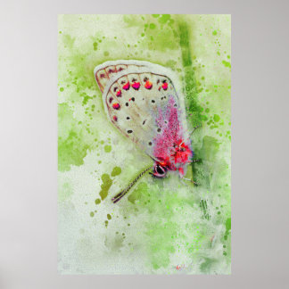 Affiche belle peinture de papillon blanc sur une tige