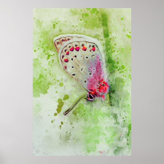Affiche belle peinture de papillon blanc sur une tige  (Devant)