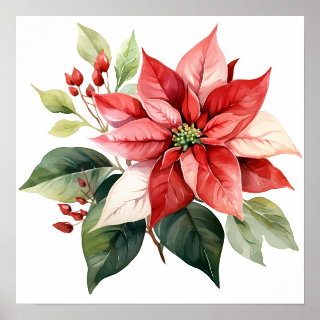 Affiche Belle Poinsettia de Noël Rouge (Devant)