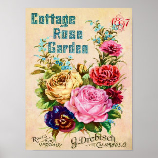 Affiche Belle publicité de catalogue de fleurs Vintages