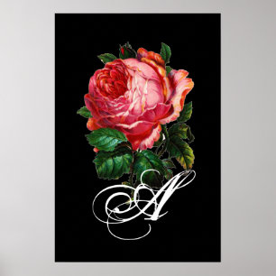 AFFICHE BELLE ROSE MONOGRAMME ROSE