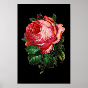 AFFICHE BELLE ROSE ROSE