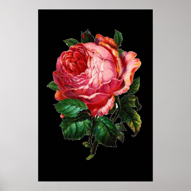 AFFICHE BELLE ROSE ROSE (Devant)