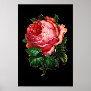 AFFICHE BELLE ROSE ROSE