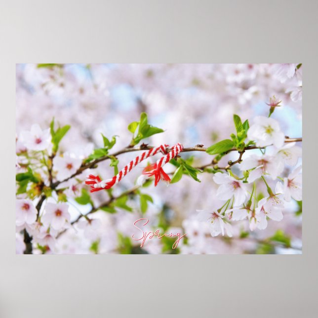 Affiche Belle salutation de printemps (Devant)