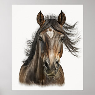 Affiche Belle tête de cheval Portrait de main dessinée cou
