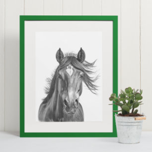 Affiche Belle tête de cheval Portrait noir blanc