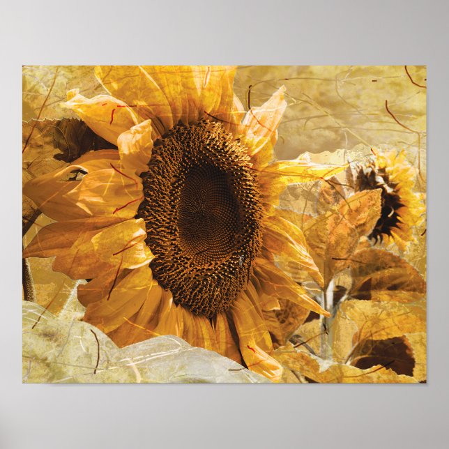 Affiche Belle Texture Jaune Giant Tournesol Photo Art (Devant)