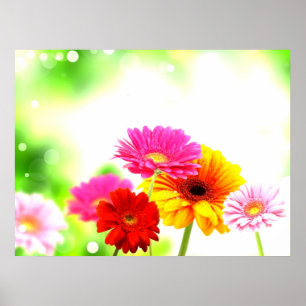 Affiche Belle tranquillité blissant joli paysage fleuri