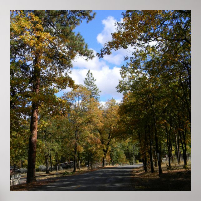 Affiche Belle ville.. (Devant)