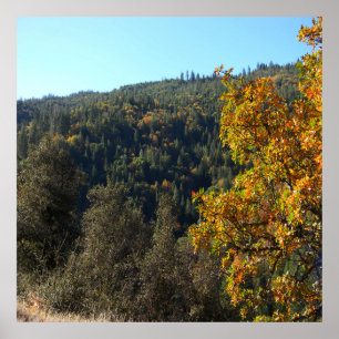 Affiche Belles couleurs automne.....