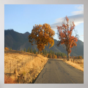 Affiche Belles couleurs en automne...