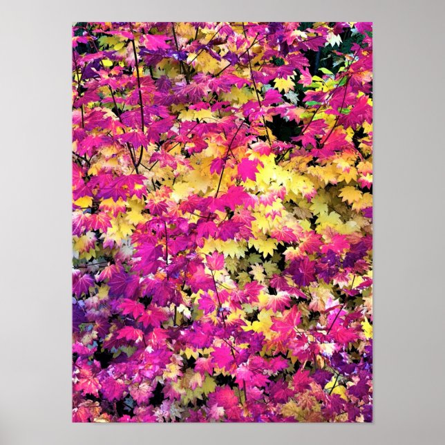 Affiche Belles feuilles automnales (Devant)